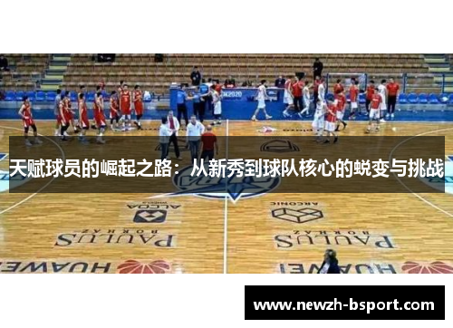 天赋球员的崛起之路：从新秀到球队核心的蜕变与挑战